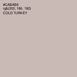 #CABAB6 - Cold Turkey Color Image